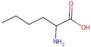 DL-Norleucine