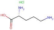 D-Ornithine Monohydrochloride