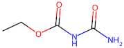 Ethyl Allophanate