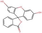 Fluorescein