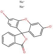Fluorescein Disodium Salt