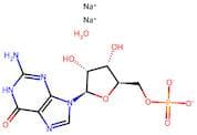 Guanosine 5’-Phosphate Disodium Salt Hydrate