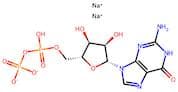 Guanosine-5-Diphosphate Disodium Salt