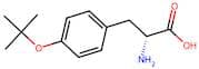 H-D-Tyr(tBu)-OH
