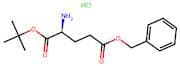H-Glu(Obzl)-Otbu Hcl