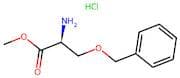 H-Ser(Bzl)-Ome.Hcl