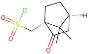 L(-)-10-Camphorsulfonyl Chloride