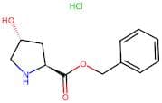 L-4-Hydroxy-Proline Benzyl Ester Hydrochloride