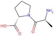 L-Alanyl-L-Proline