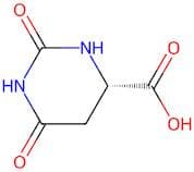 L-Dihydroorotic Acid