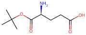 L-Glutamic Acid α-Tertbutyl Ester