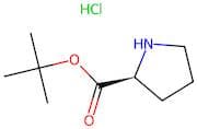 L-Proline tert-Butyl Ester Hydrochloride