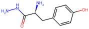 L-Tyrosine Hydrazide