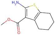 Methyl 2-Amino-4,5,6,7-Tetrahydrobenzo[b]Thiophene-3-Carboxylate