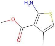 Methyl 2-Amino-4-Methyl-3-Thiophene Carboxylate