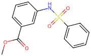 Methyl 3-Benzenesulfonamidobenzoate