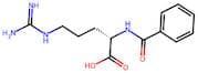 N-Benzoyl-L-arginine