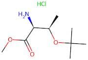O-T-Butyl-L-Threonine Methyl Ester Hydrochlorid