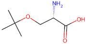 O-Tert-Butyl-L-Serine