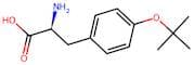 O-Tert-Butyl-L-Tyrosine
