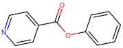 Phenyl Isonicotinate