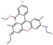 Rhodamine 6G