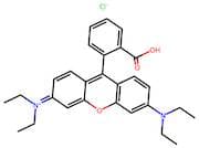 Rhodamine B