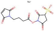 Sodium 1-((4-(2,5-Dioxo-2,5-Dihydro-1H-Pyrrol-1-Yl)Butanoyl)Oxy)-2,5-Dioxopyrrolidine-3-Sulfonate