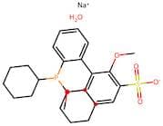 Sodium 2’-(Dicyclohexylphosphino)-2,6-Dimethoxy-[1,1’-Biphenyl]-3-Sulfonate