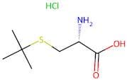 S-Tert-Butyl-L-Cysteine Hydrochloride