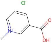 Trigonelline Hydrochloride