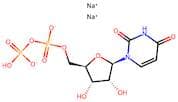 Uridine 5'-Diphosphate Disodium Salt Hydrate