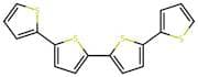 α-Quarterthienyl