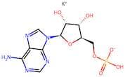 Polyadenosinic Acid Potassium Salt