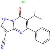 6-Isopropyl-7-Oxo-5-Phenyl-4,7-Dihydropyrazolo[1,5-a]Pyrimidine-3-Carbonitrile Hydrochloride