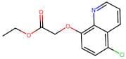 Ethyl 2-((5-Chloroquinolin-8-Yl)Oxy)Acetate