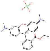 Tetramethylrhodamine Ethyl Ester Perchlorate