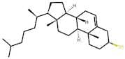 Thiocholesterol
