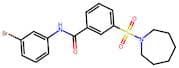 3-(Azepan-1-Ylsulfonyl)-N-(3-Bromophenyl)Benzamide