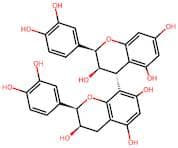 Proanthocyanidin B2