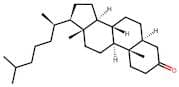 5α-Cholestan-3-One