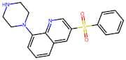 3-(Phenylsulfonyl)-8-(Piperazin-1-Yl)Quinoline