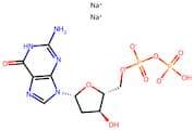 2'-Deoxyguanosine-5'-Diphosphate Disodium Salt