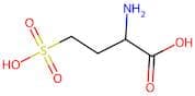 2-Amino-4-Sulfobutanoic Acid