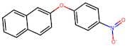 2-(4-Nitrophenoxy)Naphthalene