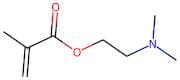 Poly(2-(Dimethylamino)Ethyl Methacrylate)