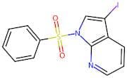 3-Iodo-1-(Phenylsulfonyl)-1H-Pyrrolo[2,3-b]Pyridine