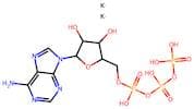Adenosine 5'-(Tetrahydrogen Triphosphate), Dipotassium Salt