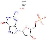Sodium ((2R,3S,5R)-5-(2-Amino-6-Oxo-1H-Purin-9(6H)-Yl)-3-Hydroxytetrahydrofuran-2-Yl)Methyl Phosph…