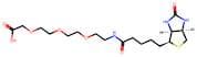 Biotin-Peg3-Ch2Cooh